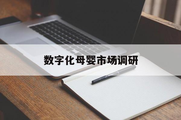 榆林市数字化母婴市场调研(数字化母婴市场调研报告)